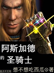 《阿斯加德的圣骑士》