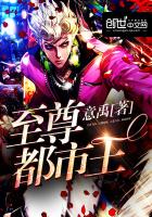 《至尊都市王》