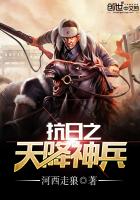 《抗日之天降神兵》