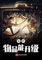 《我的物品能升级》