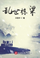 《乱世栋梁》