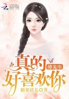 《薄先生真的好喜欢你》