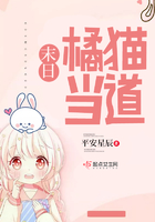 《末日橘猫当道》