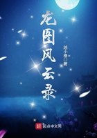 《龙图风云录》