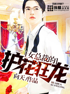 《女总裁的护花狂龙》