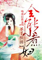 《圣手织田，全能小煮妇》