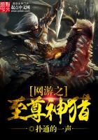 《网游之至尊神猎》