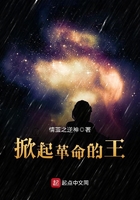 《掀起革命的王》