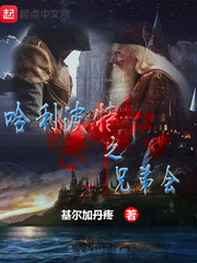 《哈利波特之兄弟会》