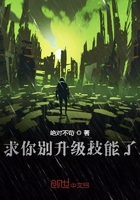 《求你别升级技能了》