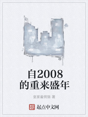 《自2008的重来盛年》