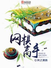 《网棋高手》