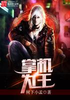 《掌机为王》