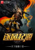 《逐风起源》