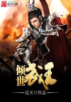 《倾世武王》