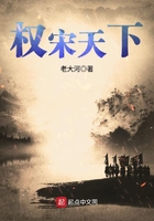 《权宋天下》