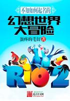 《不知如何起名的幻想世界大冒险》