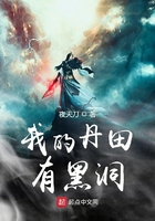 《我的丹田有黑洞》