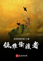 《低维偷渡者》