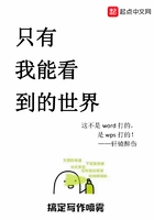 《只有我能看到的世界》