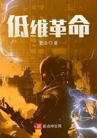 《低维革命》