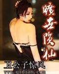 《旷世陨仙》