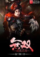 《无双成就系统》