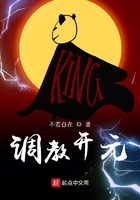 《调教开元》