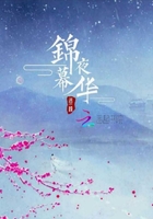 《锦夜幕华》