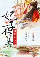《凤临天下之妃子不善》