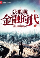 《决胜新金融时代》