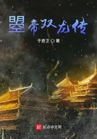 《曌帝双龙传》