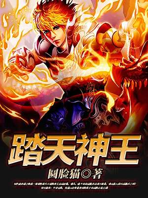 《踏天神王》