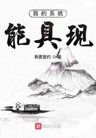 《我的系统能具现》