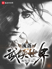 《流落武侠世界》