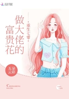 《重生七零做大佬的富贵花》