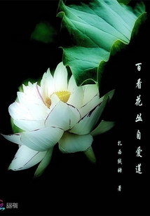 《百看花丛自爱莲》