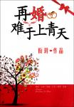 《再婚难于上青天》