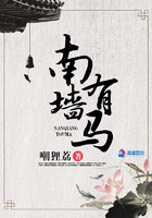 《南墙有马》