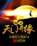 《触灵——天门奇缘》