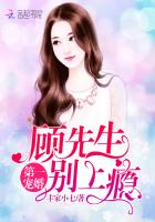 《第一宠婚：顾先生，别上瘾》