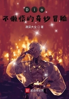 《Dio不懒惰的奇妙冒险》