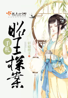 《昭王探案手札》