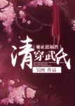 《清穿武氏（雍正庶福晋）》