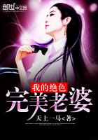 《我的绝色完美老婆》