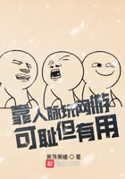 《靠人脉玩网游可耻但有用》
