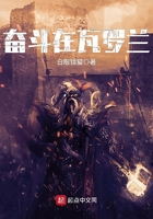 《奋斗在瓦罗兰》