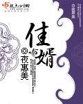 《佳婿》