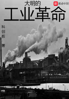 《大明的工业革命》