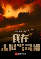 《我在末世当司机》